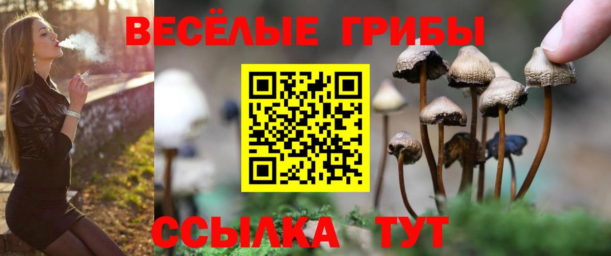 Псилоцибиновые грибы ЛСД Белогорск